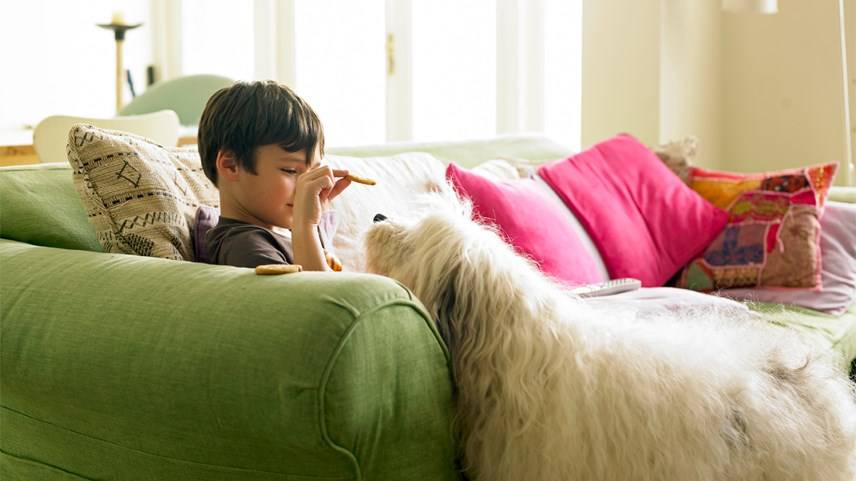 How to remove chocolate stains from upholstery