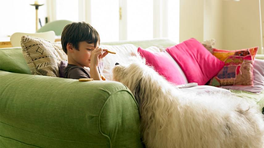 How to remove tea stains from fabric sofas